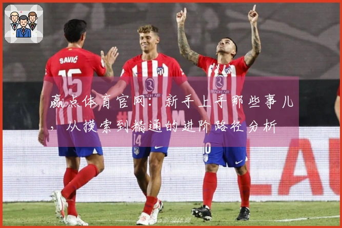 赢点体育官网：新手上手那些事儿，从摸索到精通的进阶路径分析